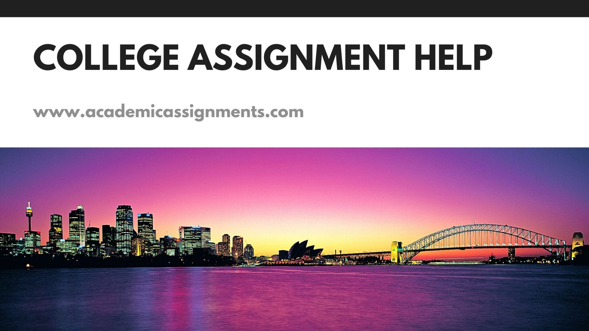 assignment help college